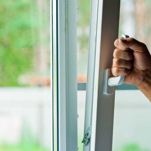 window with mosquito net
